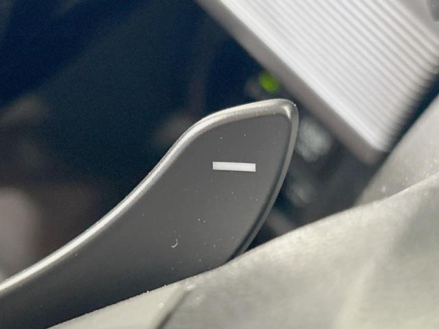 スペーシアカスタム ハイブリッドXSターボ 純正8型ナビ 全周囲カメラ 両側電動ドア 禁煙車 衝突軽減装置 クルーズコントロール LEDヘッド シートヒーター ハーフレザー ターボ フルセグ Bluetooth ETC オートライト/エアコン(43枚目)