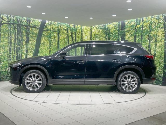 ＣＸ－８ ２５Ｓ　プロアクティブ　７人乗　マツダコネクトナビ　バックカメラ　衝突被害軽減　レーダークルーズ　禁煙車　パワーシート　シートヒーター　コーナーセンサー　ＬＥＤヘッド　ドラレコ　ＥＴＣ　ブラインドスポットモニター（57枚目）