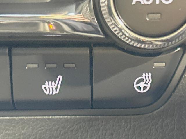 MAZDA3ファストバック X Lパッケージ 純正8型ナビ 全周囲カメラ 禁煙車 衝突軽減装置 レーダークルーズ ブラインドスポットモニター パワーシート シートヒーター 黒革シート LEDヘッド フルセグ Bluetooth再生 ETC(36枚目)