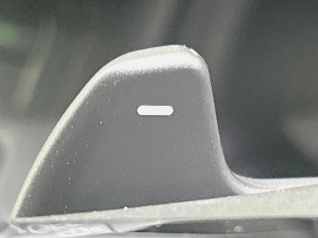 ステップワゴン スパーダ　登録済未使用車　両側電動ドア　純正１１．４インチナビ　バックカメラ　ホンダセンシング　レーダークルーズ　電動リアゲート　ハーフレザーシート　コーナーセンサー　スマートキー　ＬＥＤヘッド（32枚目）