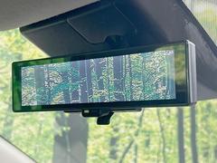 �ڥ���ƥꥸ����ȥ롼��ߥ顼�۸��ʤ��礭�ʲ�ʪ��Ʊ��ԤǸ�������ǧ���Ť餤���Ǥ�¿�������餬���Ƥ�����ξ�����α�����롼��ߥ顼���ɽ�������ꥢ�ʻ볦�Ǿ����γ�ǧ����ǽ�Ǥ��� 6