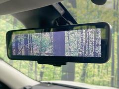 �ڥ���ƥꥸ����ȥ롼��ߥ顼�۸��ʤ��礭�ʲ�ʪ��Ʊ��ԤǸ�������ǧ���Ť餤���Ǥ�¿�������餬���Ƥ�����ξ�����α�����롼��ߥ顼���ɽ�������ꥢ�ʻ볦�Ǿ����γ�ǧ����ǽ�Ǥ��� 5