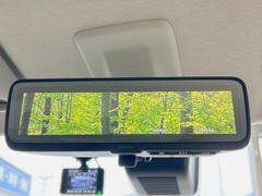 �ڥǥ�����롼��ߥ顼�۸��ʤ��礭�ʲ�ʪ��Ʊ��ԤǸ�������ǧ���Ť餤���Ǥ�¿�������餬���Ƥ�����ξ�����α�����롼��ߥ顼���ɽ�������ꥢ�ʻ볦�Ǿ����γ�ǧ����ǽ�Ǥ��� 7