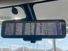 �ڥ���ƥꥸ����ȥ롼��ߥ顼�۸��ʤ��礭�ʲ�ʪ��Ʊ��ԤǸ�������ǧ���Ť餤���Ǥ�¿�������餬���Ƥ�����ξ�����α�����롼��ߥ顼���ɽ�������ꥢ�ʻ볦�Ǿ����γ�ǧ����ǽ�Ǥ��� 6