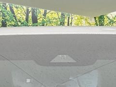 �ڥȥ西�����եƥ����󥹡�������������μ�ξ����ǧ���������ͤ������ʻ��Ϸ���ȥ֥졼���Ǿ��Ͳ�����ﳲ�ڸ��򥢥����ȡ��������˥ɥ饤�֤򤪳ڤ��ߤ��������ޤ��� 7