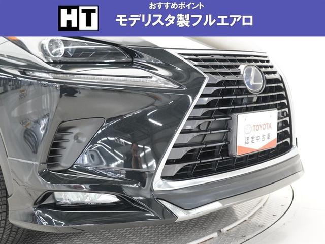 ���f���X�^���t���G�A���������Ă��܂��B�i�t�����g�j