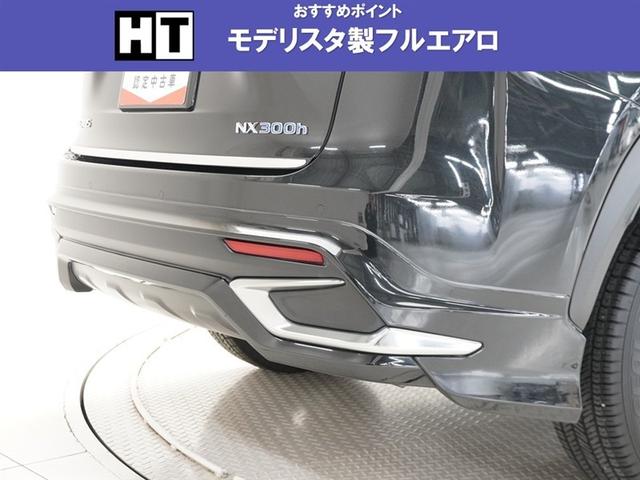 ���f���X�^���t���G�A���������Ă��܂��B�i�����j