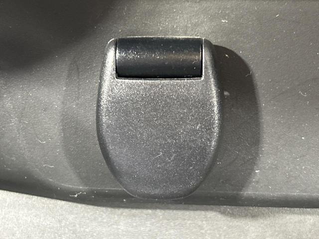 エクストレイル ２０Ｘ　純正ナビ　フリップダウンモニター　全周囲カメラ　エマージェンシーブレーキ　禁煙車　防水シート　パワーバックドア　ＥＴＣ　ＬＥＤヘッド　スマートキー　デジタルインナーミラー　オートライト（29枚目）