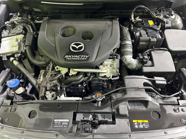 ＣＸ－３ ＸＤ　純正ナビ　スマートシティブレーキ　禁煙車　バックカメラ　Ｂｌｕｅｔｏｏｔｈ　ＥＴＣ　フルセグＴＶ　ＣＤ／ＤＶＤ再生　ＬＥＤヘッドランプ　純正１８インチアルミ（18枚目）