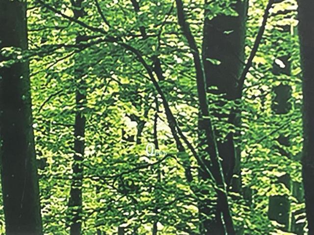 ＣＸ－５ ＸＤ　Ｌパッケージ　ディーゼル　純正ナビ　全周囲カメラ　衝突軽減装置　レーダークルーズ　禁煙車　パワーバックドア　レザーシート　シートヒーター　パワーシート　スマートキー　ＬＥＤヘッド　ＥＴＣ　ステアリングヒーター（33枚目）