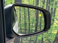 ڸѸΡ桢ɥߥ顼λѤˤʤ䤹ս˸³֤᤹ܶȥɥߥ顼ն˷ٹɽɥ饤Сմ򤷤Ƥޤ 6