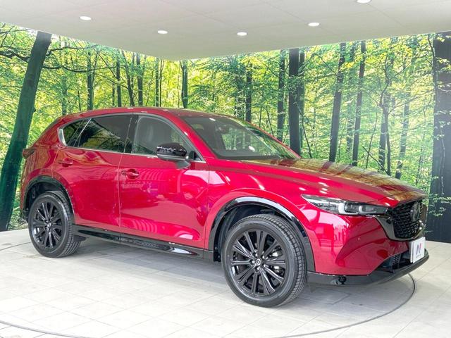 ＣＸ－５ ＸＤ　スポーツアピアランス　メーカーナビ　ＢＯＳＥサウンド　禁煙車　衝突軽減　レーダークルーズ　コーナーセンサー　デジタルミラー　シートヒーター　ステアリングヒーター　パワーシート　シートヒーター　ＥＴＣ　バックカメラ（24枚目）