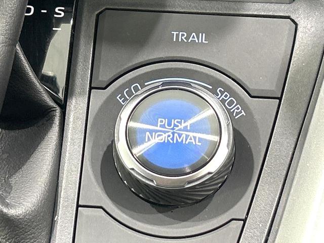 RAV4 ハイブリッドG 純正9型ディスプレイオーディオ 全周囲カメラ デジタルインナーミラー パワーバックドア シ-トヒ-タ- セ-フティセンス レーダークルーズコントロール BSM LEDヘッドライト 禁煙車(22枚目)