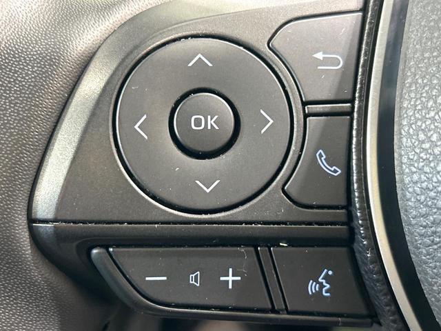 RAV4 ハイブリッドG 純正9型ディスプレイオーディオ 全周囲カメラ デジタルインナーミラー パワーバックドア シ-トヒ-タ- セ-フティセンス レーダークルーズコントロール BSM LEDヘッドライト 禁煙車(37枚目)