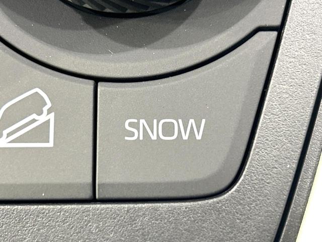 RAV4 アドベンチャー 登録済未使用車 純正10.5型ナビ バックカメラ シ-トベンチレ-ション ステアリングヒーター セ-フティセンス レーダークルーズコントロール BSM ETC2.0 フルセグTV 禁煙車(38枚目)