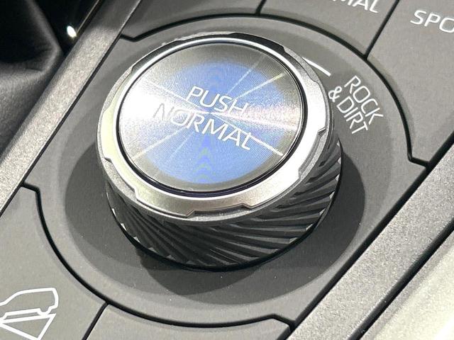 RAV4 アドベンチャー 登録済未使用車 純正10.5型ナビ バックカメラ シ-トベンチレ-ション ステアリングヒーター セ-フティセンス レーダークルーズコントロール BSM ETC2.0 フルセグTV 禁煙車(40枚目)