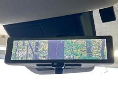 �ڥ���ƥꥸ����ȥ롼��ߥ顼�۸��ʤ��礭�ʲ�ʪ��Ʊ��ԤǸ�������ǧ���Ť餤���Ǥ�¿�������餬���Ƥ�����ξ�����α�����롼��ߥ顼���ɽ�������ꥢ�ʻ볦�Ǿ����γ�ǧ����ǽ�Ǥ��� 5