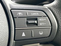 �ڥ����ץƥ��֥��롼������ȥ�����۹�®ƻϩ�Ǥ�Ĺ��Υ���Ԥ��ڤˡ�����ư��®�٤��ݤĥ��롼������ȥ����뤬�����ͷڸ������ƥ��Ϣ�Ȥ��������μ�ξ���Τ��Ƽִ֤��ݤĤ褦��®��Ĵ�ᤷ�Ƥ���ޤ����� 6