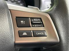 ������®�ɽ���ǽ�ե��롼������ȥ�����۹�®ƻϩ�Ǥ�Ĺ��Υ���Ԥ��ڤˡ�����ư��®�٤��ݤĥ��롼������ȥ����뤬�����ͷڸ������ƥ��Ϣ�Ȥ��������μ�ξ���Τ��Ƽִ֤��ݤĤ褦��®��Ĵ�ᤷ�Ƥ���ޤ����� 6