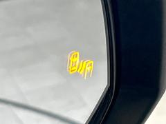 �ڥǥ����륤��ʡ��ߥ顼�۸��ʤ��礭�ʲ�ʪ��Ʊ��ԤǸ�������ǧ���Ť餤���Ǥ�¿�������餬���Ƥ�����ξ�����α�����롼��ߥ顼���ɽ�������ꥢ�ʻ볦�Ǿ����γ�ǧ����ǽ�Ǥ��� 7