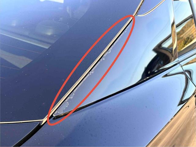 プリウス Ａツーリングセレクション　１２ヶ月保証／安全装置／ナビ／Ｂｌｕｅｔｏｏｔｈ／ＵＳＢ／フルセグＴＶ／ＣＤ・ＤＶＤ／シートヒーター／ドラレコ／オートライト／オートハイビーム／ＡＣ１００Ｖ（21枚目）