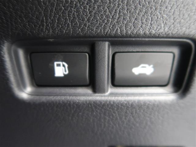 HS HS250h フルセグ HDDナビ DVD再生 バックカメラ ETC LEDヘッドランプ ワンオーナー(39枚目)