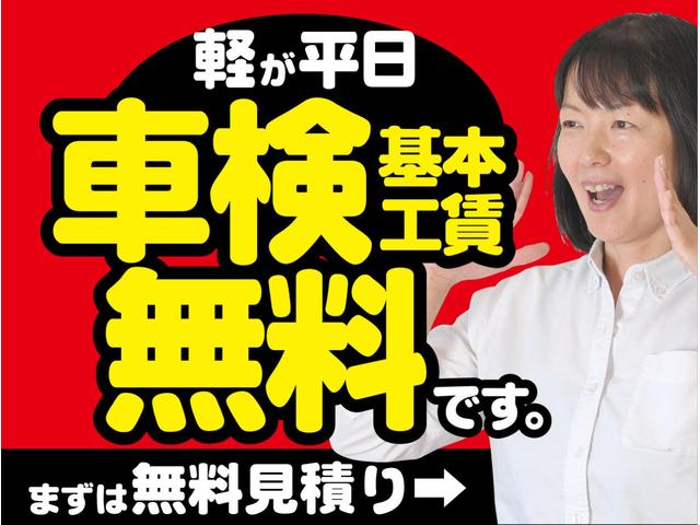 ストライプスＧ　届出済未使用車　新車保証対象　両側パワースライドドア　前席シートヒーター　バックカメラ　オートライト　ＬＥＤヘッドランプ　　スマートキー　クリアランスソナー　電動パーキングブレーキ(62枚目)