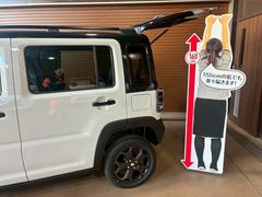 �ϥ��顼 ���ե磻��ɡ������̥ʥӡ������ȯ�����������륳�󡡥����ȥҡ����� 1001094A30251224W011 4