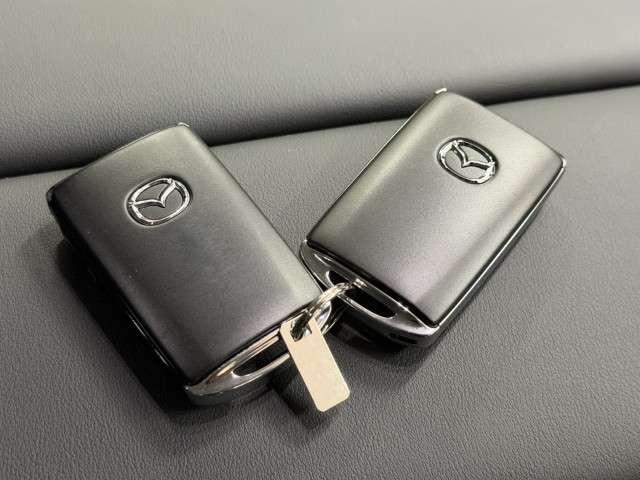 ＣＸ－６０ ３．３　ＸＤ　ＳＰ　ディーゼルターボ　ナビ　フルセグＴＶ　電動シート　（16枚目）