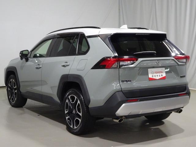 RAV4 アドベンチャー 4WD フルセグ メモリーナビ DVD再生 バックカメラ 衝突被害軽減システム LEDヘッドランプ 記録簿(17枚目)