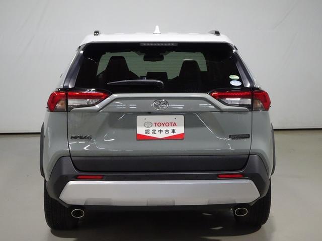 RAV4 アドベンチャー 4WD フルセグ メモリーナビ DVD再生 バックカメラ 衝突被害軽減システム LEDヘッドランプ 記録簿(18枚目)