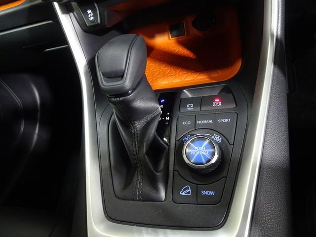 RAV4 アドベンチャー 4WD フルセグ メモリーナビ DVD再生 バックカメラ 衝突被害軽減システム LEDヘッドランプ 記録簿(24枚目)