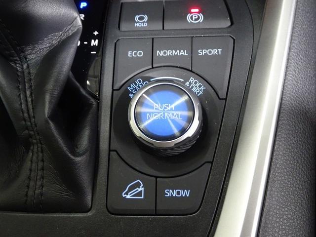 RAV4 アドベンチャー 4WD フルセグ メモリーナビ DVD再生 バックカメラ 衝突被害軽減システム LEDヘッドランプ 記録簿(26枚目)