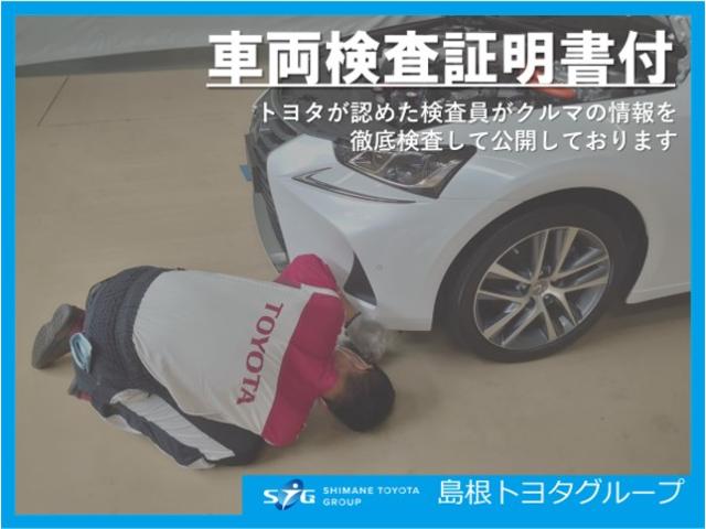 G S フルセグ メモリーナビ DVD再生 バックカメラ 衝突被害軽減システム アイドリングストップ クルーズコントロール プッシュスタート スマートキー オートエアコン イモビライザー 両側電動スライドドア(53枚目)