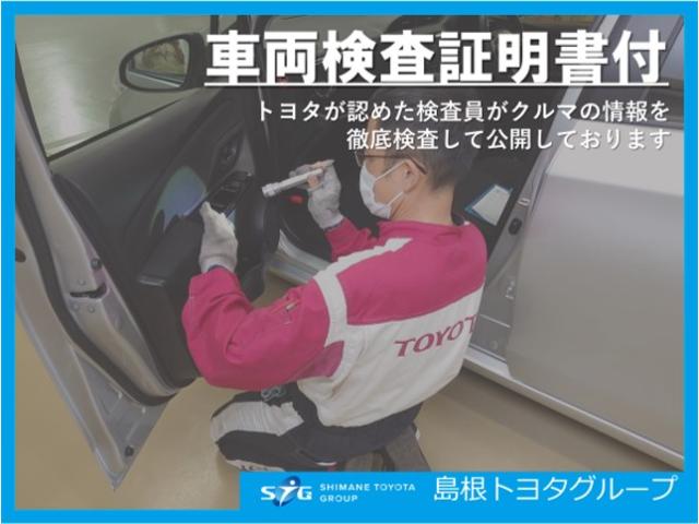 G S フルセグ メモリーナビ DVD再生 バックカメラ 衝突被害軽減システム アイドリングストップ クルーズコントロール プッシュスタート スマートキー オートエアコン イモビライザー 両側電動スライドドア(57枚目)