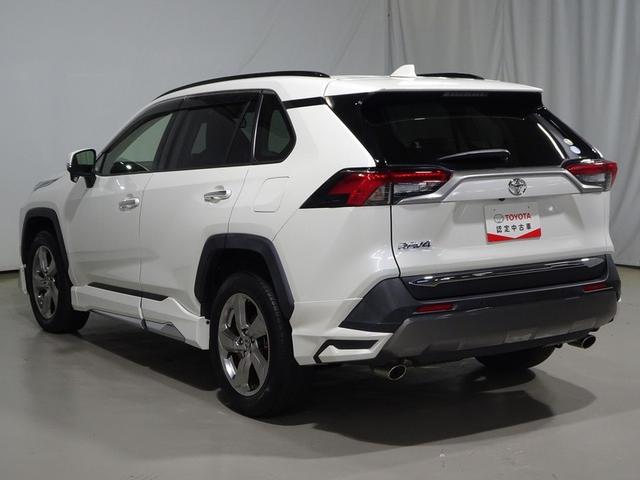 RAV4 G 4WD フルセグ メモリーナビ DVD再生 ミュージックプレイヤー接続可 バックカメラ 衝突被害軽減システム ETC ドラレコ LEDヘッドランプ ワンオーナー フルエアロ 記録簿(19枚目)