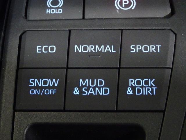 RAV4 G 4WD フルセグ メモリーナビ DVD再生 ミュージックプレイヤー接続可 バックカメラ 衝突被害軽減システム ETC ドラレコ LEDヘッドランプ ワンオーナー フルエアロ 記録簿(29枚目)