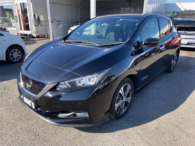 リーフ X プロパイロット 全席シートヒーター 前後ドラレコ 純正充電ケーブル 全国対応12ヶ月保証(7枚目)