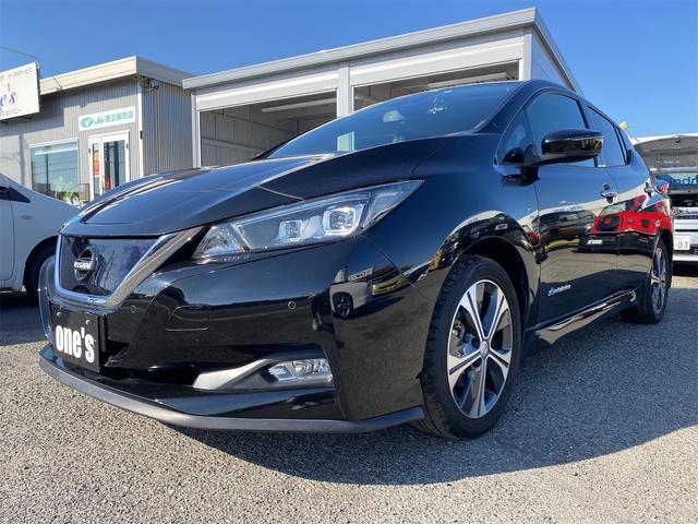 リーフ X プロパイロット 全席シートヒーター 前後ドラレコ 純正充電ケーブル 全国対応12ヶ月保証(21枚目)