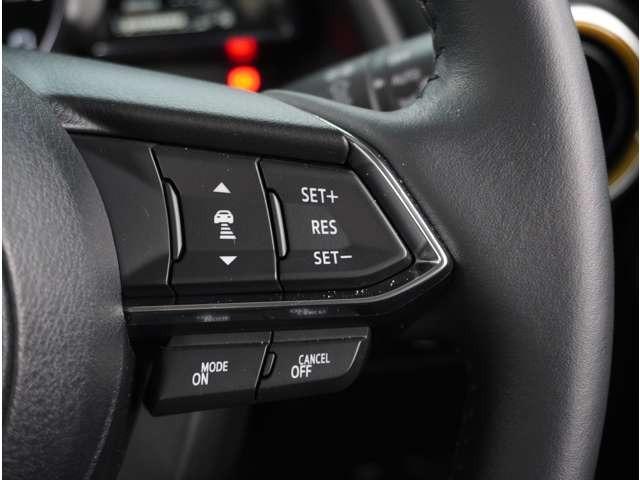 ＭＡＺＤＡ２ １．５　１５　サンリット　シトラス　３６０°ビュー・モニター　純正ナビ（48枚目）