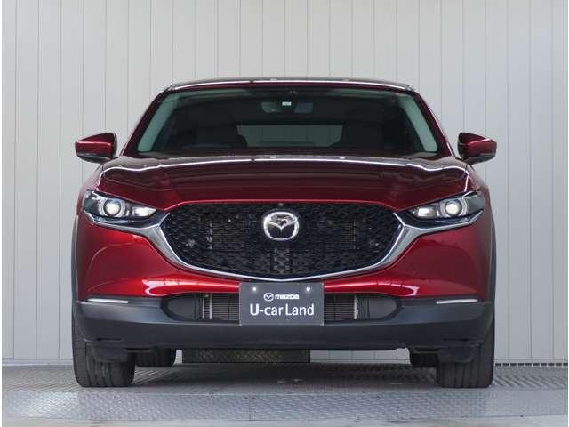 CX-30 2.0 20S プロアクティブ 360°ビュー・モニター 純正ナビ ETC 360カメラ スマキー オートクルーズコントロール キーレスエントリー 禁煙 オートバックドア バックモニター LEDヘッドライト ETC車載器 ナビ・TV(9枚目)