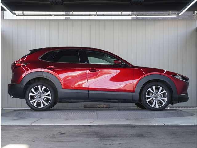CX-30 2.0 20S プロアクティブ 360°ビュー・モニター 純正ナビ ETC 360カメラ スマキー オートクルーズコントロール キーレスエントリー 禁煙 オートバックドア バックモニター LEDヘッドライト ETC車載器 ナビ・TV(10枚目)