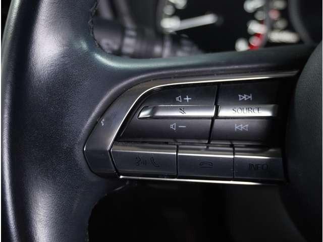 CX-30 2.0 20S プロアクティブ 360°ビュー・モニター 純正ナビ ETC 360カメラ スマキー オートクルーズコントロール キーレスエントリー 禁煙 オートバックドア バックモニター LEDヘッドライト ETC車載器 ナビ・TV(45枚目)