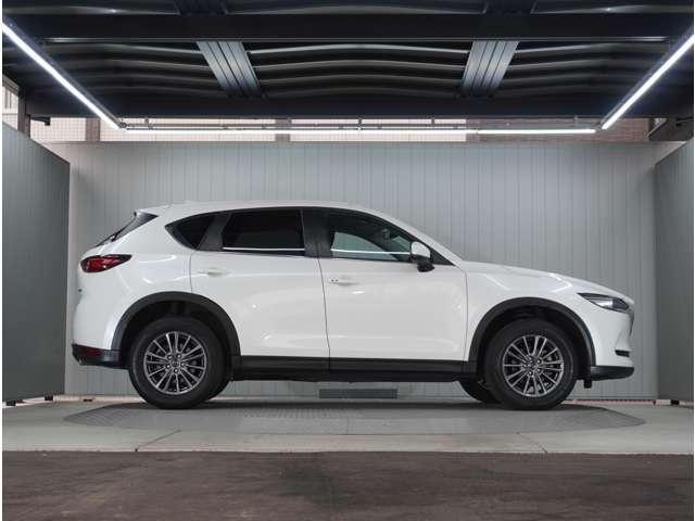 �y���̂���{�f�B�z�O�����ڗ��L�Y���������R���f�B�V�����ǍD�ł��B���ۂɌ��Ԋm�F����������̕��ł��I�����C�����k���ł��܂��̂ň�x�����k�������B