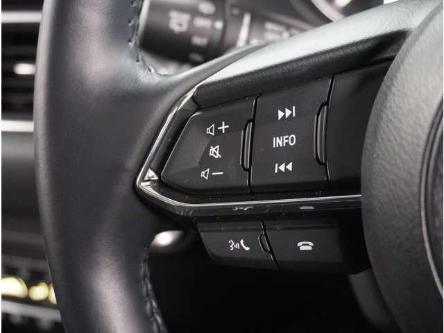 ＣＸ－５ ２．０　２０Ｓ　プロアクティブ　３６０°ビュー・モニター　純正ナビ　ＥＴＣ　アクティブクルーズコントロール　ＬＥＤライト　キーレスエントリー　パワーシート　ＷＡＢ　クリアランスソナー　Ｂカメラ　ＡＢＳ　サイドエアバッグ　ＥＴＣ（46枚目）