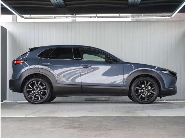 �y���̂���{�f�B�z�O�����ڗ��L�Y���������R���f�B�V�����ǍD�ł��B���ۂɌ��Ԋm�F����������̕��ł��I�����C�����k���ł��܂��̂ň�x�����k�������B