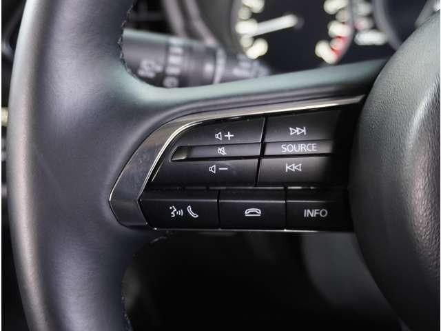 �y�X�e�A�����O�X�C�b�`�z�^�]���A�O������ڐ������炷���ƂȂ��A�I�[�f�B�I���̑��삪�\�ȕ֗��@�\�B���S�����K�h���C�u�ɂ̓}�X�g�ȑ����B