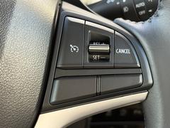 ����Υ��ԡ��ɤ�ư���ݤäƤ���륯�롼������ȥ����뵡ǽ�ա���®ƻϩ�ǤΥ��󥰥ɥ饤�֤ʤɤ��ब������ä���ޤ����������������Ω�Ĳ�Ŭ��ǽ�Ǥ����� 3