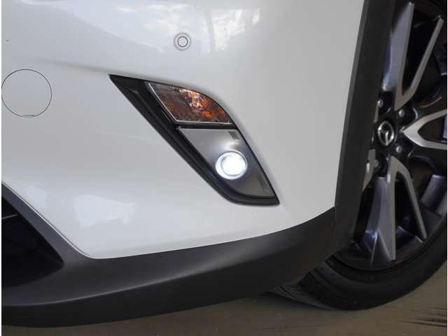 �y�t�H�O�����v�z���̎����̑��s�ɕ֗��ȃt�H�O�����v�ł��B���߂��̍L���}�c�_�܂ł��z�����������B