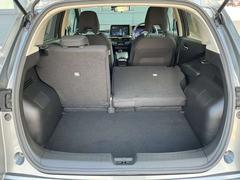 �ꥢ�����ȤϺ�����ʬ����ݼ�����Ѥ��Ƥ��ޤ������Ϳ����ʪ�˱����ƥ����Ȥ�ͳ�˥���󥸤Ǥ��ޤ��� 6